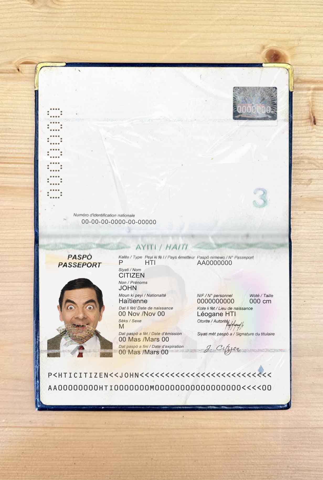 Haiti passport photo look PSD template